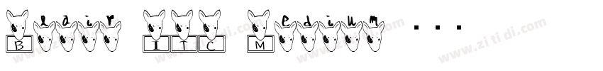 Blair ITC Medium字体转换